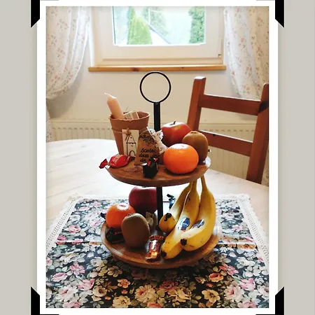 Familien-apartment Schmitts Katz